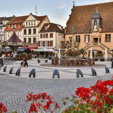 Studio Cosy A Molsheim Calme, Centre-Ville Et Acces Strasbourg 외부 사진