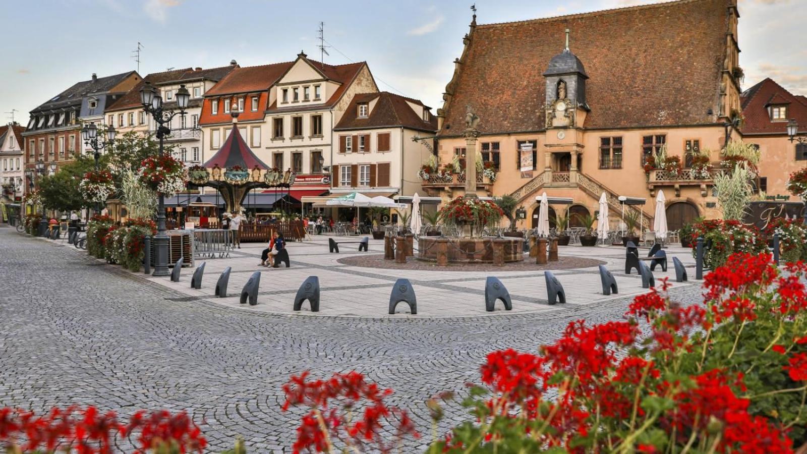 Studio Cosy A Molsheim Calme, Centre-Ville Et Acces Strasbourg 외부 사진